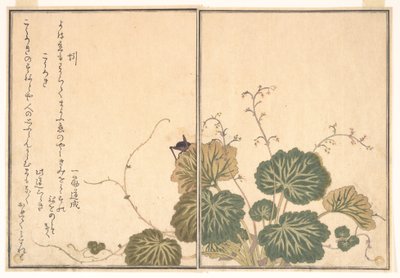 Regenwurm (Mimizu); Grille (Kōrogi), aus dem Bilderbuch der kriechenden Kreaturen (Ehon mushi erami) von Kitagawa Utamaro