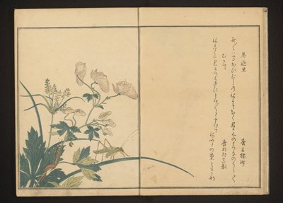 Heuschrecke und Tausendfüßler auf Eisenhutpflanze von Kitagawa Utamaro