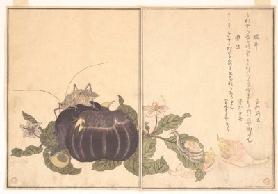 Landschnecke (Katatsumuri); Riesenkäfer (Kutsuwamushi), aus dem Bilderbuch der kriechenden Kreaturen (Ehon mushi erami) von Kitagawa Utamaro