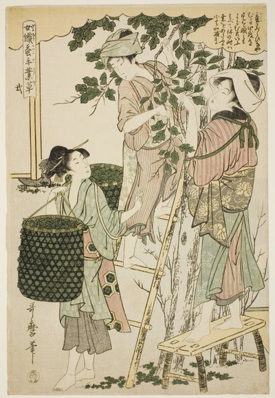 Nr. 2 (ni), aus der Serie "Frauen in der Seidenraupenzuchtindustrie beschäftigt" von Kitagawa Utamaro