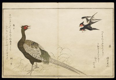 P.332-1946 Vol.1 f.6 Paar Schornsteinschwalben und ein grüner Fasan, aus einem Album 