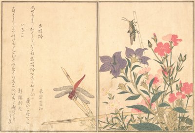 Rote Libelle Akatonbo, Heuschrecke Inago..., 1788 von Kitagawa Utamaro