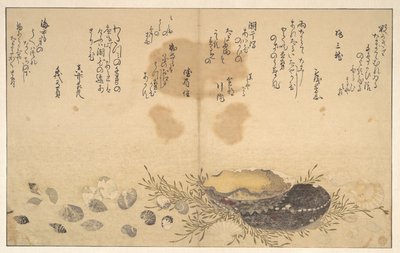 Muscheln unter Wasser von Kitagawa Utamaro