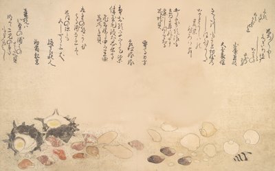 Muscheln unter Wasser, 1790 von Kitagawa Utamaro