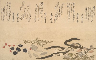 Muscheln unter Wasser, 1790 von Kitagawa Utamaro