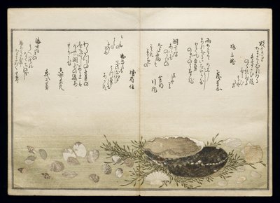 Shiohi no tsuto (Geschenke von der Ebbe), bekannt als das Muschelbuch, 1789 von Kitagawa Utamaro