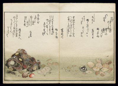 Shiohi no tsuto (Geschenke von der Ebbe), bekannt als das Muschelbuch, 1789 von Kitagawa Utamaro
