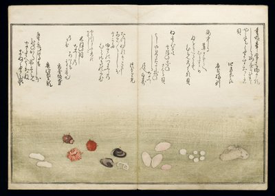 Shiohi no tsuto (Geschenke von der Ebbe), bekannt als das Muschelbuch, 1789 von Kitagawa Utamaro