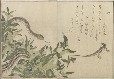 Schlange und Eidechse, 1788 von Kitagawa Utamaro