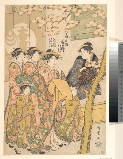 Die Oiran Kasugano von Ogiya auf Parade unter blühenden Kirschbäumen von Kitagawa Utamaro