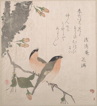 Gimpel und Kirschblüten von Kubo Shunman