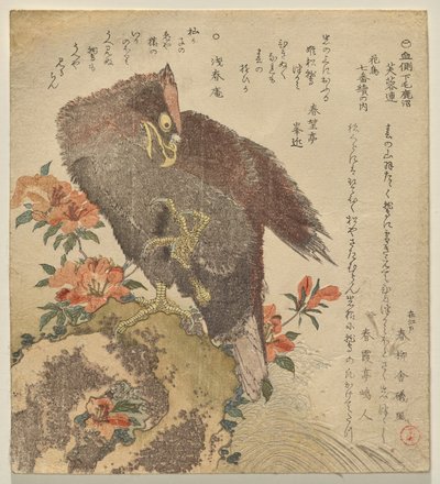 Adler mit erhobener Kralle auf einem Felsen bei einem Azaleenbusch von Kubo Shunman