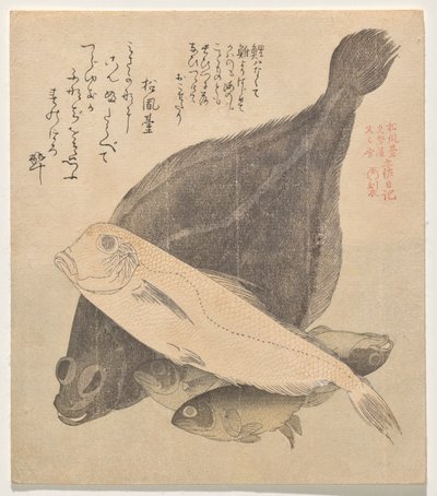 Flunder, Kachelbarsch und drei Karauschen, aus der Serie Tosa Tagebuch (Tosa nikki) von Kubo Shunman