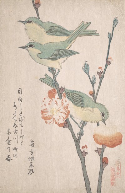 Japanische Weißaugen auf einem Pfirsichbaumzweig, ca. 1805-10 von Kubo Shunman