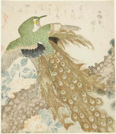 Pfau, Kiefer und Pfingstrosen, aus der Serie "Ein Satz von drei Blütenblättern (San hira no uchi)" von Kubo Shunman