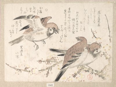 Spatzen und Pflaumenblüten von Kubo Shunman