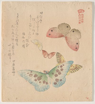 Das Malhandbuch der Schmetterlingsschwärme (Guncho? Gafu) von Kubo Shunman