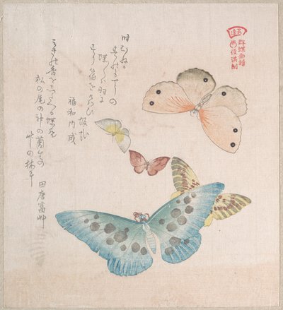 Verschiedene Motten und Schmetterlinge von Kubo Shunman