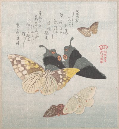Verschiedene Motten und Schmetterlinge von Kubo Shunman