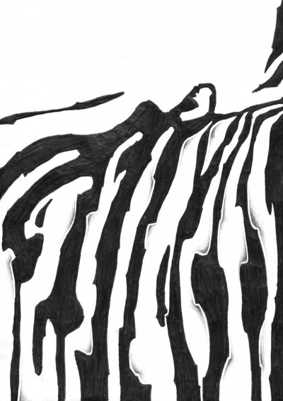 Fließendes Zebra-Muster von Kulik