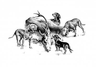 Jagdhunde und Hirsch von Kulik