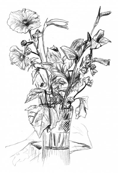 Bleistift-Blumenstillleben von Kulik