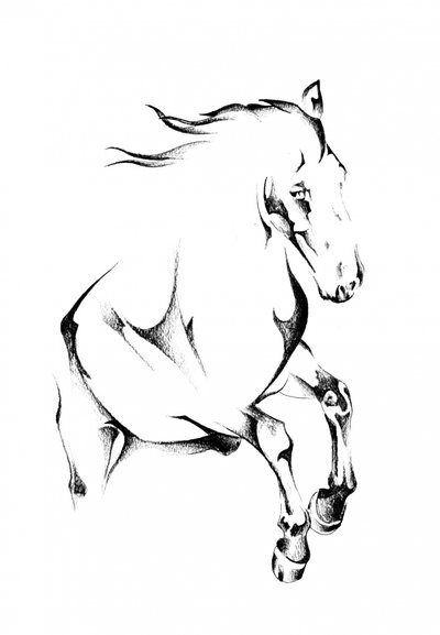 Steigendes Wildpferd von Kulik