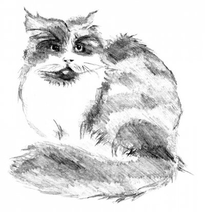 Verspieltes Flauschiges Katzenporträt von Kulik
