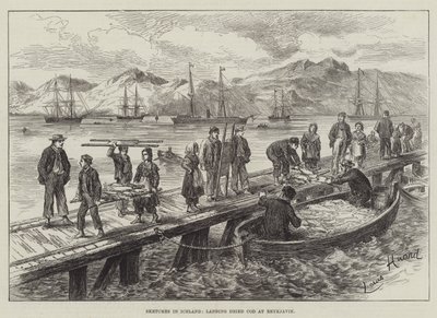 Skizzen in Island, Trockenkabeljau in Reykjavik anlanden von L. Huard