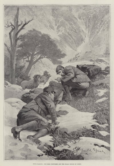 Hind-Stalking, das Wild gestört und die Pirsch durch Schafe ruiniert von Lancelot Speed