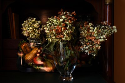 Herbstliche getrocknete Hortensien von Laura Malaterra