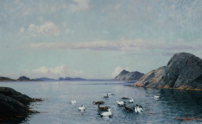 Südküste mit Seevögeln von Lauritz Haaland
