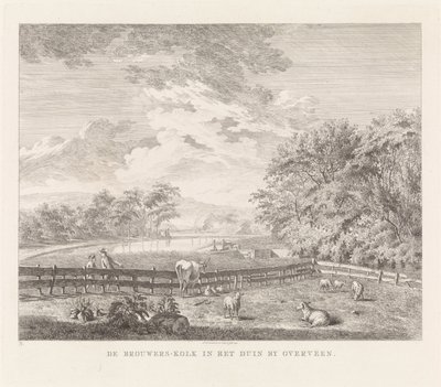 Brouwerskolk bei Overveen von Leendert Overbeek