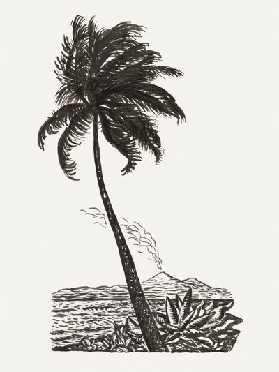 Palme mit einer Insel (ca. 1891–1941) von Leo Gestel