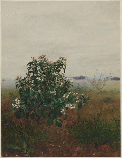 Blühender Lorbeer vor einer Landschaft von Léon Bonvin