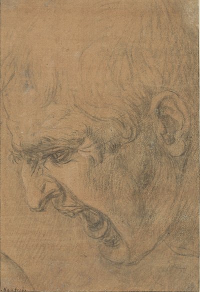 Kopf eines schreienden Mannes von Leonardo da (follower of) Vinci