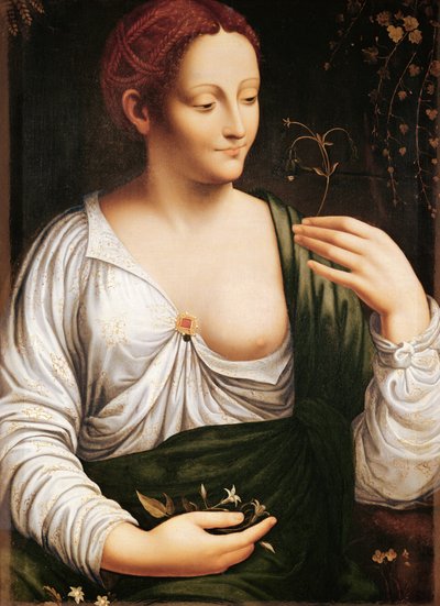 Columbine von Leonardo da (school of) Vinci