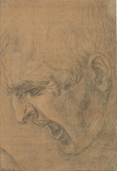 Kopf eines schreienden Mannes von Leonardo da Vinci (follower of)