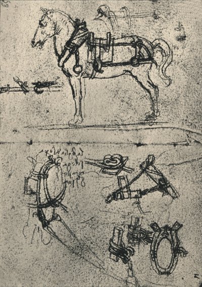 Ein angespanntes Kutschpferd und Studien des Geschirrs, um 1480, 1945 von Leonardo da Vinci
