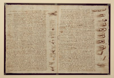 Eine Seite aus dem Codex Leicester, 1508-12 von Leonardo da Vinci