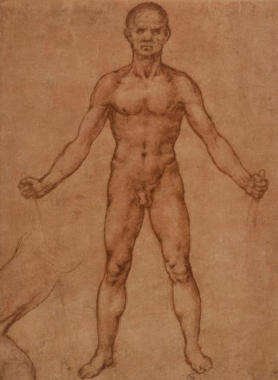 Aktstudie eines stehenden Mannes, frontal von Leonardo da Vinci