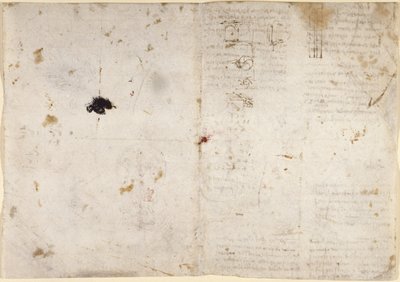 Zeichnungen über mechanische Kräfte, Schwerkraft, Bewegung, Optik und Astronomie, mit verschiedenen arithmetischen und geometrischen Propositionen von Leonardo da Vinci