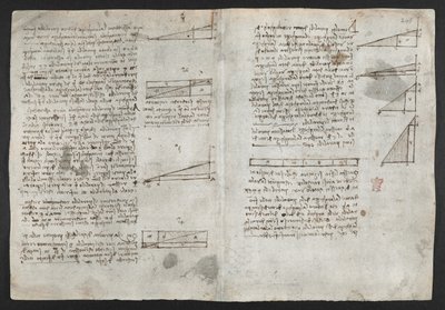 Zeichnungen zu mechanischen Kräften und Kräften, Aufprall, Schwerkraft, Bewegung, Optik und Astronomie, mit verschiedenen arithmetischen und geometrischen Propositionen, Illustration aus Leonardos 
