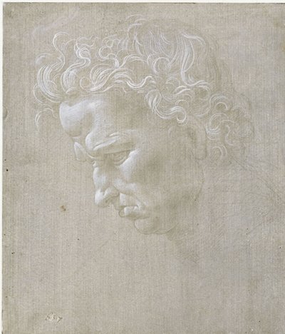  von Leonardo da Vinci