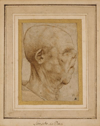 Karikatur des Kopfes eines alten Mannes, im Profil nach rechts, ca. 1507 von Leonardo da Vinci