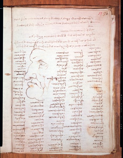 Codex Trivulziano von Leonardo da Vinci (1452 - 1519) - Trivulziana-Bibliothek, Mailand von Leonardo da Vinci