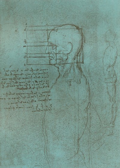 Zeichnung zur Theorie der Proportionen der menschlichen Figur, um 1472-1519, 1883 von Leonardo da Vinci
