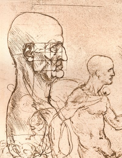 Zeichnung zur Veranschaulichung der Theorie der Proportionen der menschlichen Figur von Leonardo da Vinci