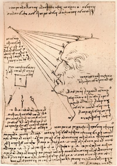 Zeichnung eines männlichen Kopfes, Illustration der Malpraxis, um 1472-1519 von Leonardo da Vinci