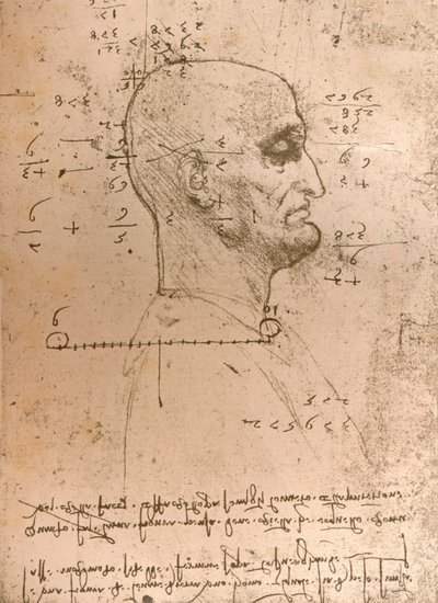 Zeichnung des Kopfes eines Kriminellen, um 1472-1519, 1883 von Leonardo da Vinci